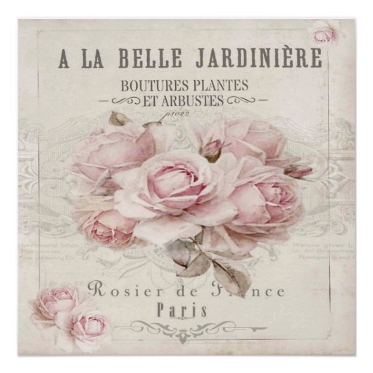 みすぼらしいシックで素朴な、ヴィンテージ、フローラ、コラージュ、カントリー ポスター (正面)