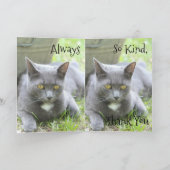 みすぼらしいシックなカード サンキューカード (内部)