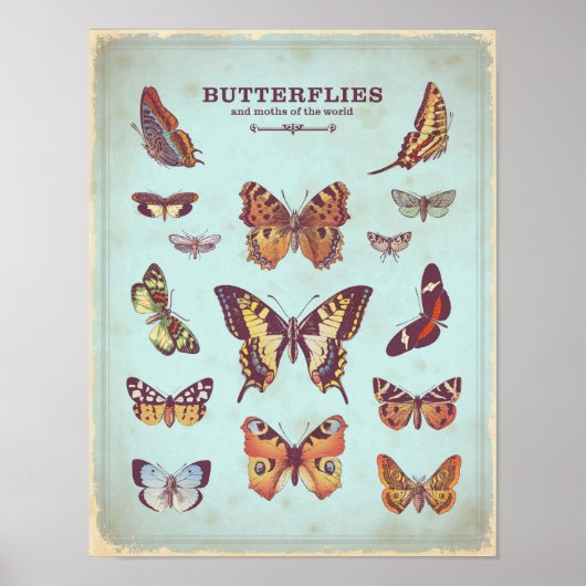 みすぼらしいシックなターコイズ蝶のポスター ポスター (正面)