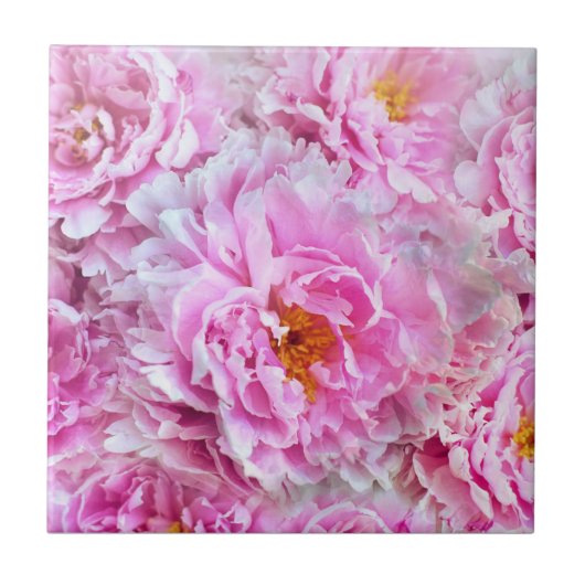 みすぼらしいシックなピンクのパステルピンクの牡丹 タイル (正面)