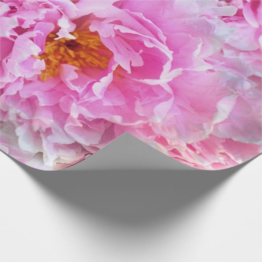 みすぼらしいシックなピンクのパステルピンクの牡丹 ラッピングペーパー (角)