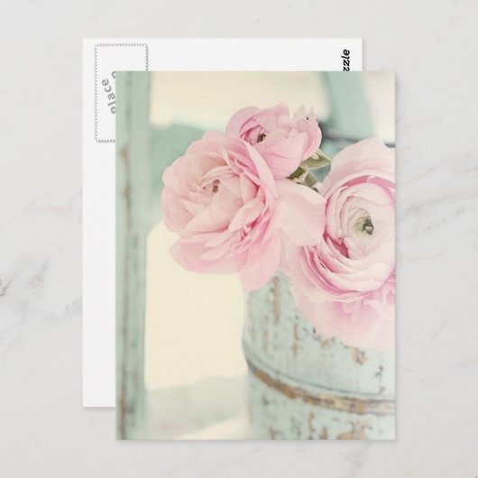 みすぼらしいシックなピンクの花の投手 ポストカード (正面/裏面)
