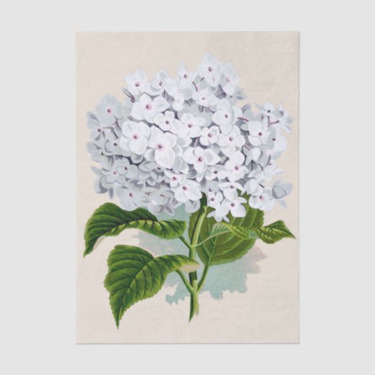 みすぼらしいシックなピンク色の花々ハート 薄葉紙 (正面)