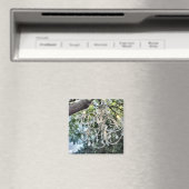 みすぼらしいシックなホワイトクリスタルシャンデリア マグネット (インサイチュ (食洗機))