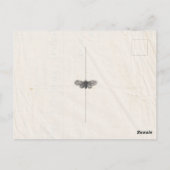 みすぼらしいシック結婚な押し花が日付を除く ポストカード (裏面)