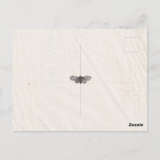 みすぼらしいシック結婚な押し花が日付を除く ポストカード (裏面)