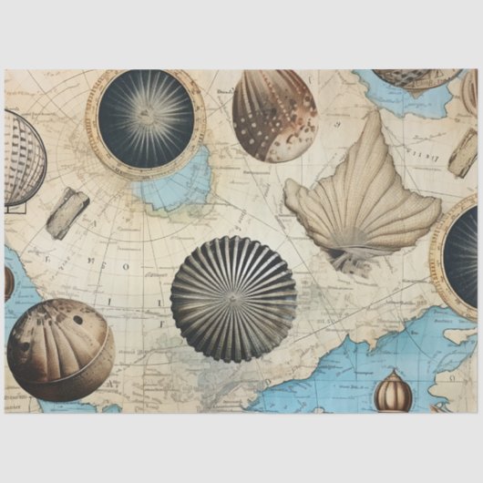 みすぼらしいシック航海のシリーズデザイン10 薄葉紙 (正面)