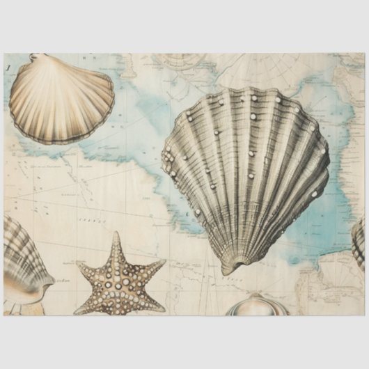 みすぼらしいシック航海のシリーズデザイン15 薄葉紙 (正面)