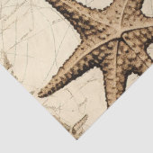 みすぼらしいシック航海のシリーズデザイン5 薄葉紙 (詳細)