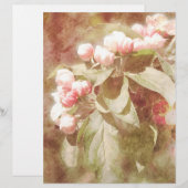 みすぼらしいピンクアップルブロッサムスクラップブック紙 (正面/裏面)