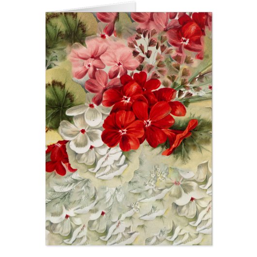 みすぼらしいヴィンテージアイボリーピンク赤フローラコラージュ (正面)