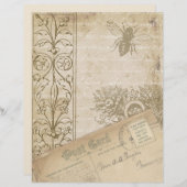 みすぼらしい古い紙スクラップブックエフェメラ (正面/裏面)