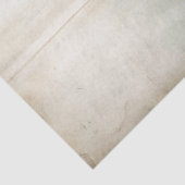 みすぼらしい水色のヴィンテージ夏の帽子のスーツケース 薄葉紙 (詳細)