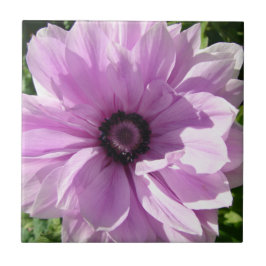 みすぼらしい紫の春の花フローラ陶芸瓦 タイル