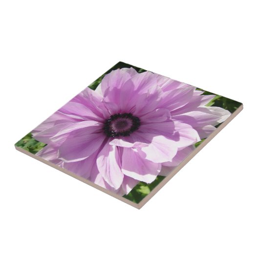みすぼらしい紫の春の花フローラ陶芸瓦 タイル (側面)