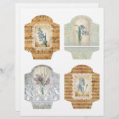 みすぼらしい花とレースのスクラップブックポケット (正面/裏面)