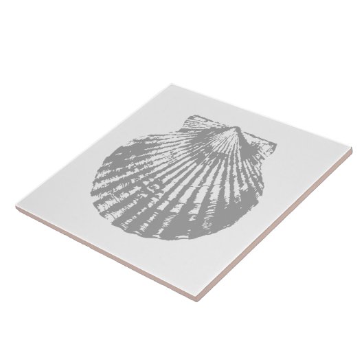 みすぼらしい貝殻 タイル (側面)