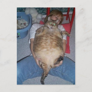 みにくい太った猫 ポストカード