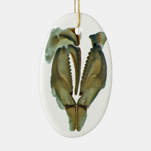 みみずの顎の楕円形のクリスマスのオーナメント セラミックオーナメント (右)