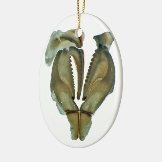 みみずの顎の楕円形のクリスマスのオーナメント セラミックオーナメント (左)