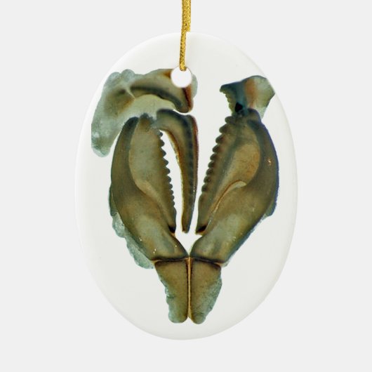 みみずの顎の楕円形のクリスマスのオーナメント セラミックオーナメント (正面)