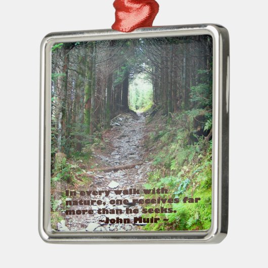 みょうばんの洞窟の道: あらゆる歩行w/nature… ジョンMuir メタルオーナメント (左)
