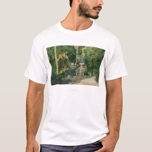 みょうばんの石公園のピクニック地面のヴィスタの眺め Tシャツ (正面)