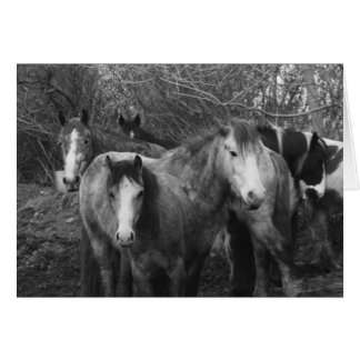 みんなでコンガをやろう！ by CatMac