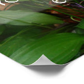 みんなの知恵のことわざポスター ポスター (角)