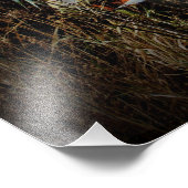 「みんな…観光客の罠！」 フォトプリント フォトプリント            (角)