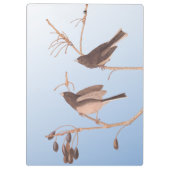 むき出しの冬の枝に雪の鳥 クリップボード (裏面)