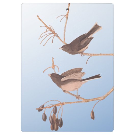 むき出しの冬の枝に雪の鳥 クリップボード (裏面)