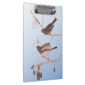 むき出しの冬の枝に雪の鳥 クリップボード (右)