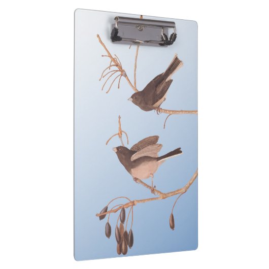 むき出しの冬の枝に雪の鳥 クリップボード (右)