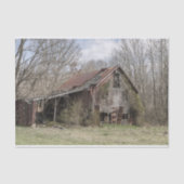 むき出しの木々とスクラブブッシュの中で納屋を壊した 薄葉紙 (正面)