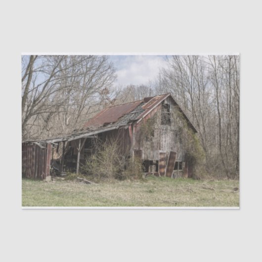 むき出しの木々とスクラブブッシュの中で納屋を壊した 薄葉紙 (正面)