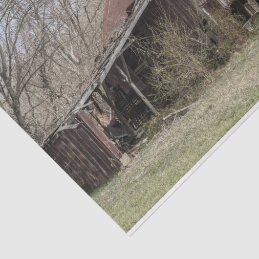 むき出しの木々とスクラブブッシュの中で納屋を壊した 薄葉紙 (詳細)