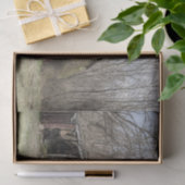 むき出しの木々とスクラブブッシュの中で納屋を壊した 薄葉紙 (ギフト)