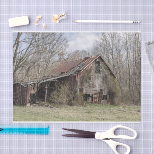 むき出しの木々とスクラブブッシュの中で納屋を壊した 薄葉紙 (クラフト)