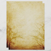 むき出しの木の枝からかえる老朽化した紙スクラップブック (正面/裏面)