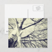 むき出しの白黒木 ポストカード (正面/裏面)