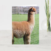 むしろ共有私の誕生日を誰よりも君と一緒に カード (正面)