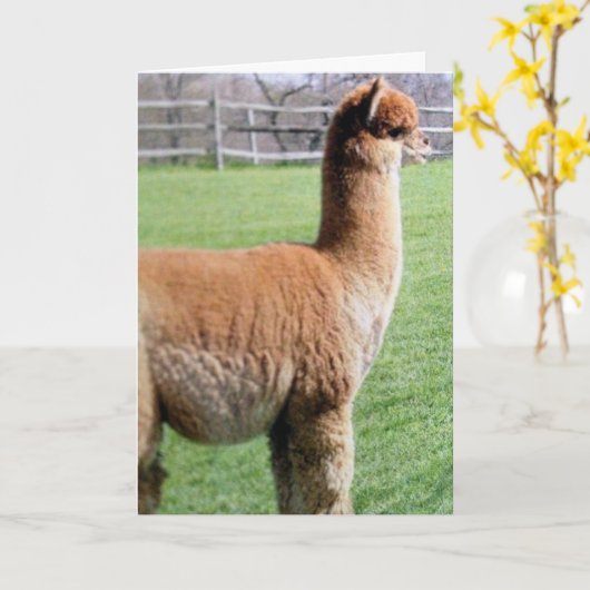 むしろ共有私の誕生日を誰よりも君と一緒に カード (黄色い花)