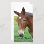 むしろ精製されたラバのHeadshot サンキューカード (正面/裏面)