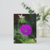 むらさきの花 ポストカード (スタンド正面)