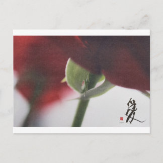 めいとかいはがき7 ポストカード