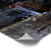 めい想シルバーバックゴリラ ポスター (角)