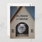 めがねをかけたかわいい猫ニャーニャーとかニャーニャー引用文 ポストカード (正面/裏面)