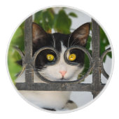 めがねフレームのおもしろいな装飾的の好奇心が強い猫 セラミックノブ (正面)