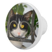 めがねフレームのおもしろいな装飾的の好奇心が強い猫 セラミックノブ (右)